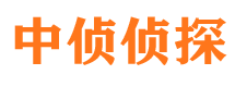 新抚找人公司